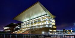 cheltenham racecourse grandstand with new windows and doors. 