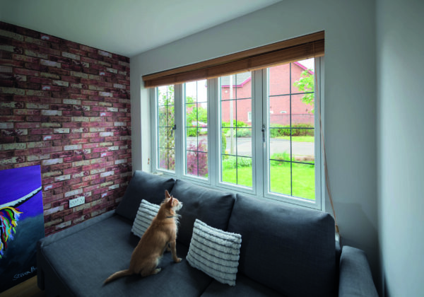 internal view of r7 window with pet on a grey sofa