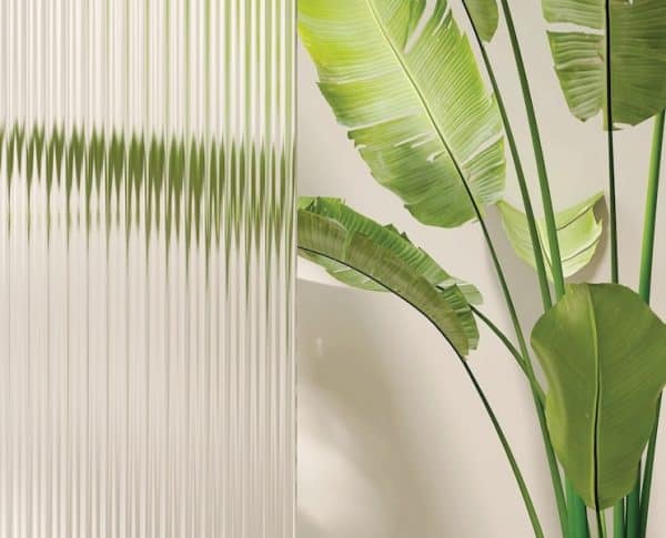 picture of glass sample with plant behind to gauge obscurity