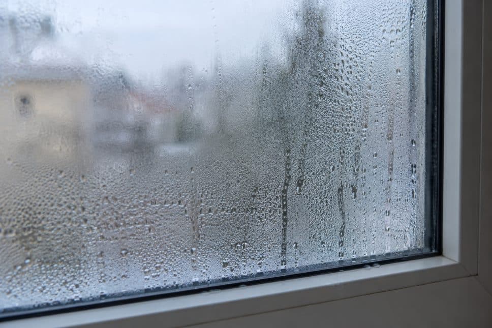window condensation. how to tell when it is time to replace your windows 2 white aluminium window showing window condensation on the inside